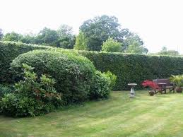 Hedge and Grass Cutting